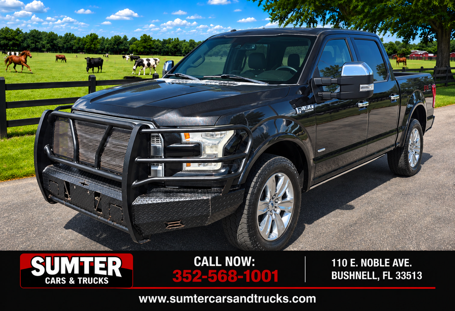 Used 2015 Ford F150 Platinum w/ Equipment Group 701A Luxury AWD/4WD image 1