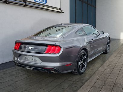 Certified 2023 Ford Mustang Coupe