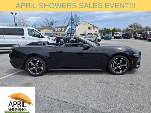 Used 2024 Ford Mustang Premium image 12