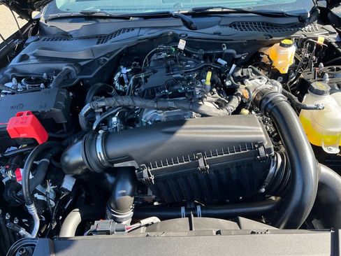 New 2025 Ford Mustang Premium image 3