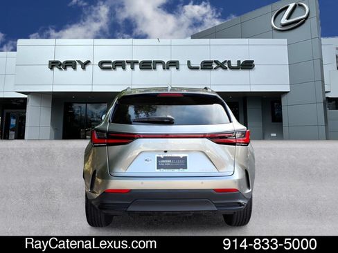 Certified 2022 Lexus NX 350 AWD image 5