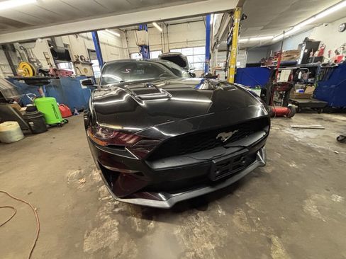 Used 2019 Ford Mustang Premium w/ Equipment Group 201A image 7
