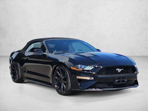 Used 2019 Ford Mustang Premium w/ Ecoboost Performance Package RWD image 2
