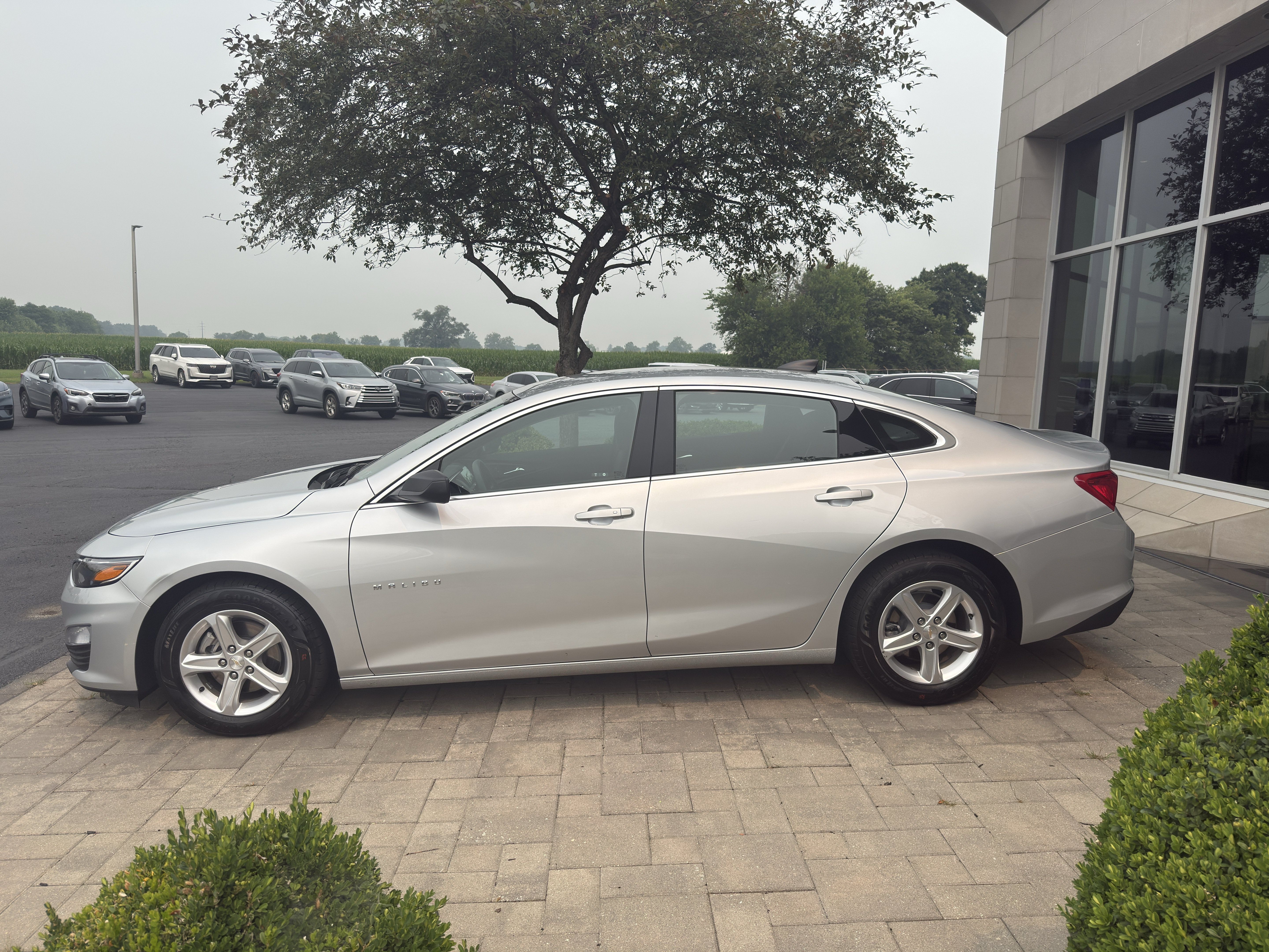 Used 2021 Chevrolet Malibu LS FWD image 4