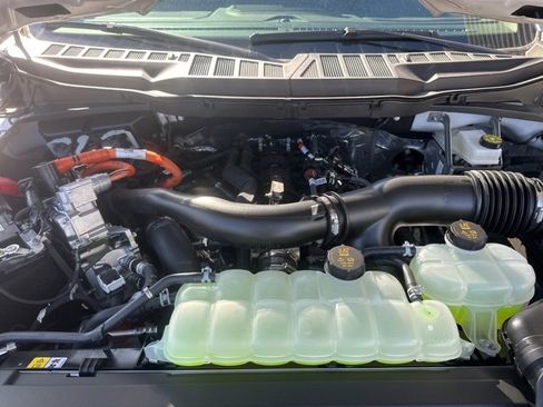 New 2025 Ford F150 XLT w/ Equipment Group 302A MID image 36