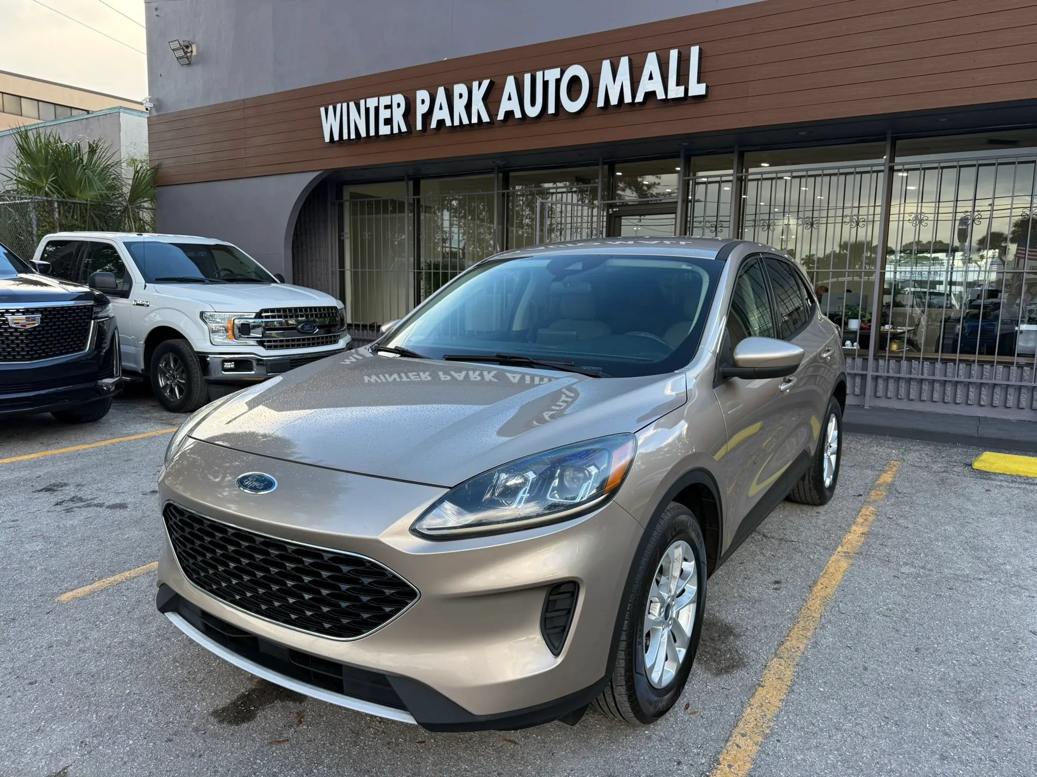Used 2020 Ford Escape SE AWD/4WD image 1