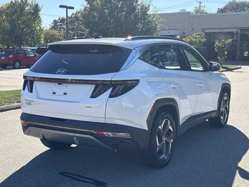 Certified 2024 Hyundai Tucson Limited image 7