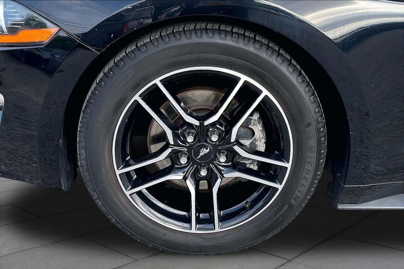 Used 2018 Ford Mustang Premium w/ Equipment Group 201A RWD image 11
