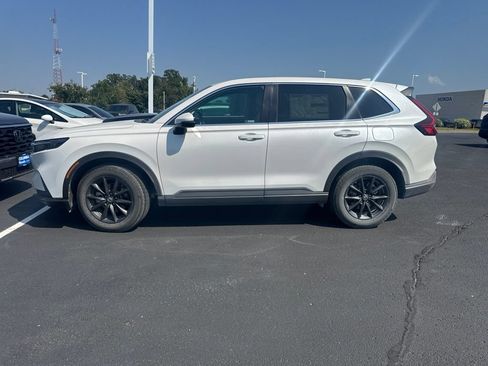 Used 2026 Honda CR-V EX-L image 3