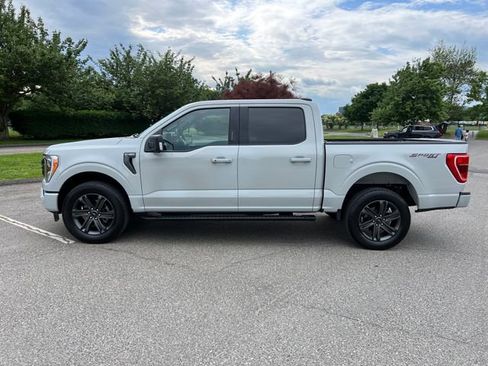 Used 2023 Ford F150 XLT w/ Equipment Group 302A High AWD/4WD image 6