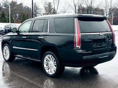 Used 2015 Cadillac Escalade Platinum image 5
