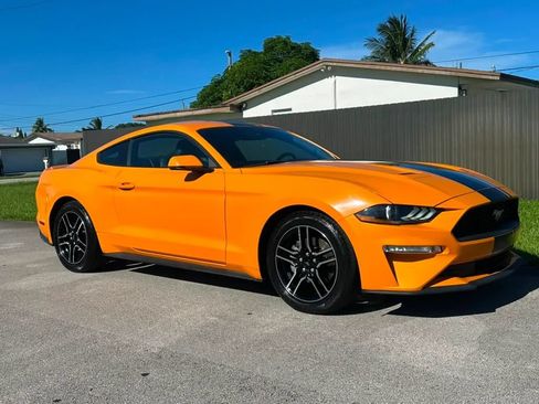 Used 2019 Ford Mustang Premium w/ Equipment Group 201A RWD image 1