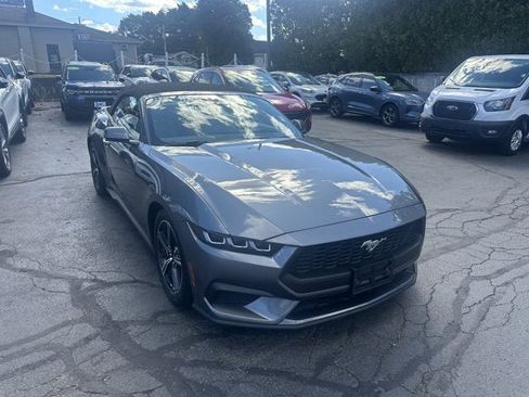 Used 2024 Ford Mustang Premium image 3