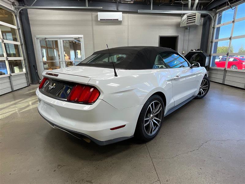 Used 2016 Ford Mustang Premium RWD image 5