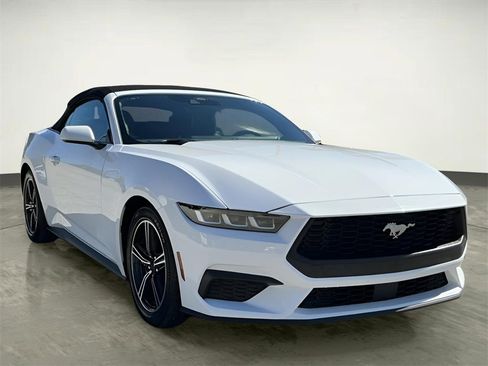 Certified 2024 Ford Mustang Premium image 14