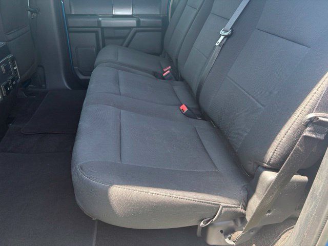 Used 2019 Ford F150 XLT w/ Equipment Group 302A Luxury AWD/4WD image 11