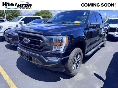 Used 2021 Ford F150 XLT w/ Equipment Group 302A High AWD/4WD image 1