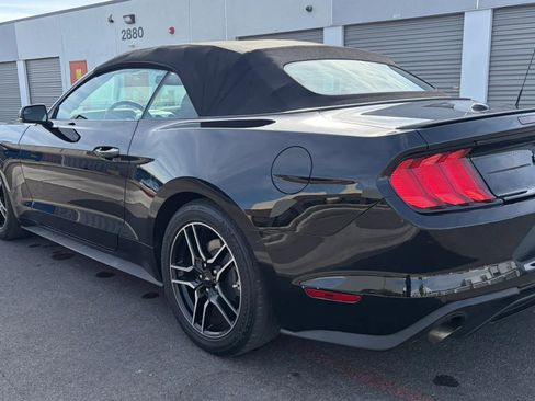 Used 2019 Ford Mustang Premium RWD image 3