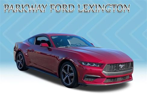 Used 2025 Ford Mustang EcoBoost image 3