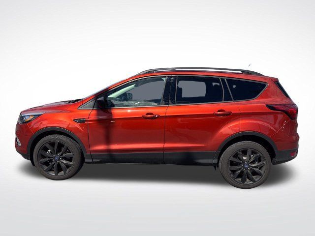 Used 2019 Ford Escape SE AWD/4WD image 2