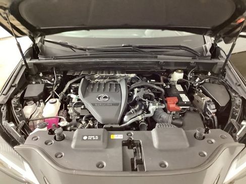 Certified 2024 Lexus NX 350 AWD w/ Cold Area Package image 39