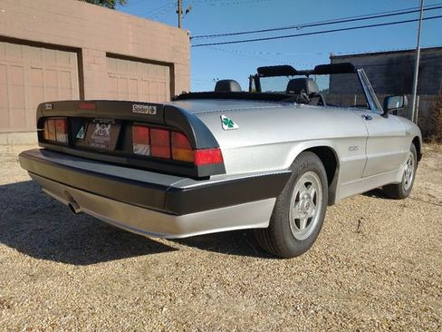 Used 1986 Alfa Romeo Spider Veloce image 54