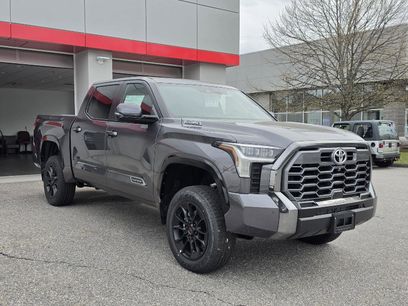New 2025 Toyota Tundra Platinum