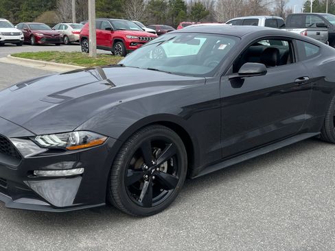 Used 2023 Ford Mustang Premium w/ Mustang Nite Pony Package image 4