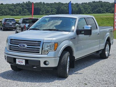 Used 2010 Ford F150 Platinum