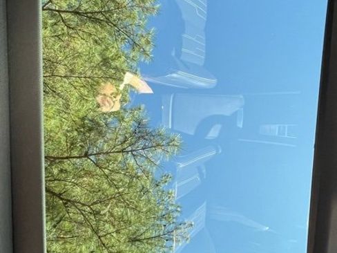 Used 2020 Audi A7 3.0T Prestige image 24