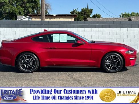 Used 2020 Ford Mustang Coupe w/ Equipment Group 101A RWD image 3