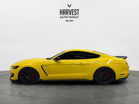 Used 2016 Ford Mustang Shelby GT350 w/ Technology Package RWD image 2