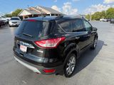 Used 2015 Ford Escape SE w/ SE Chrome Package image 4