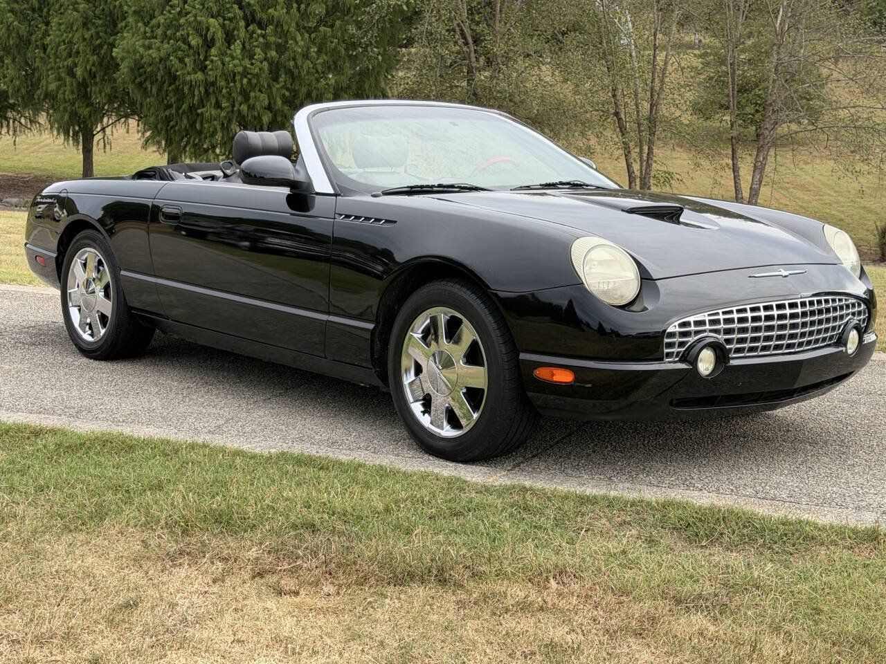 Used 2002 Ford Thunderbird RWD image 2