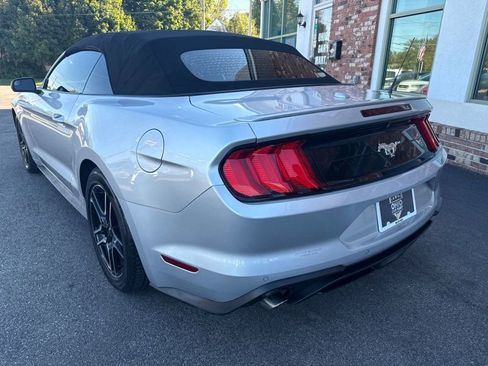 Used 2019 Ford Mustang Premium image 7