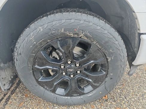 Used 2023 Ford F150 XLT w/ Equipment Group 302A High image 38