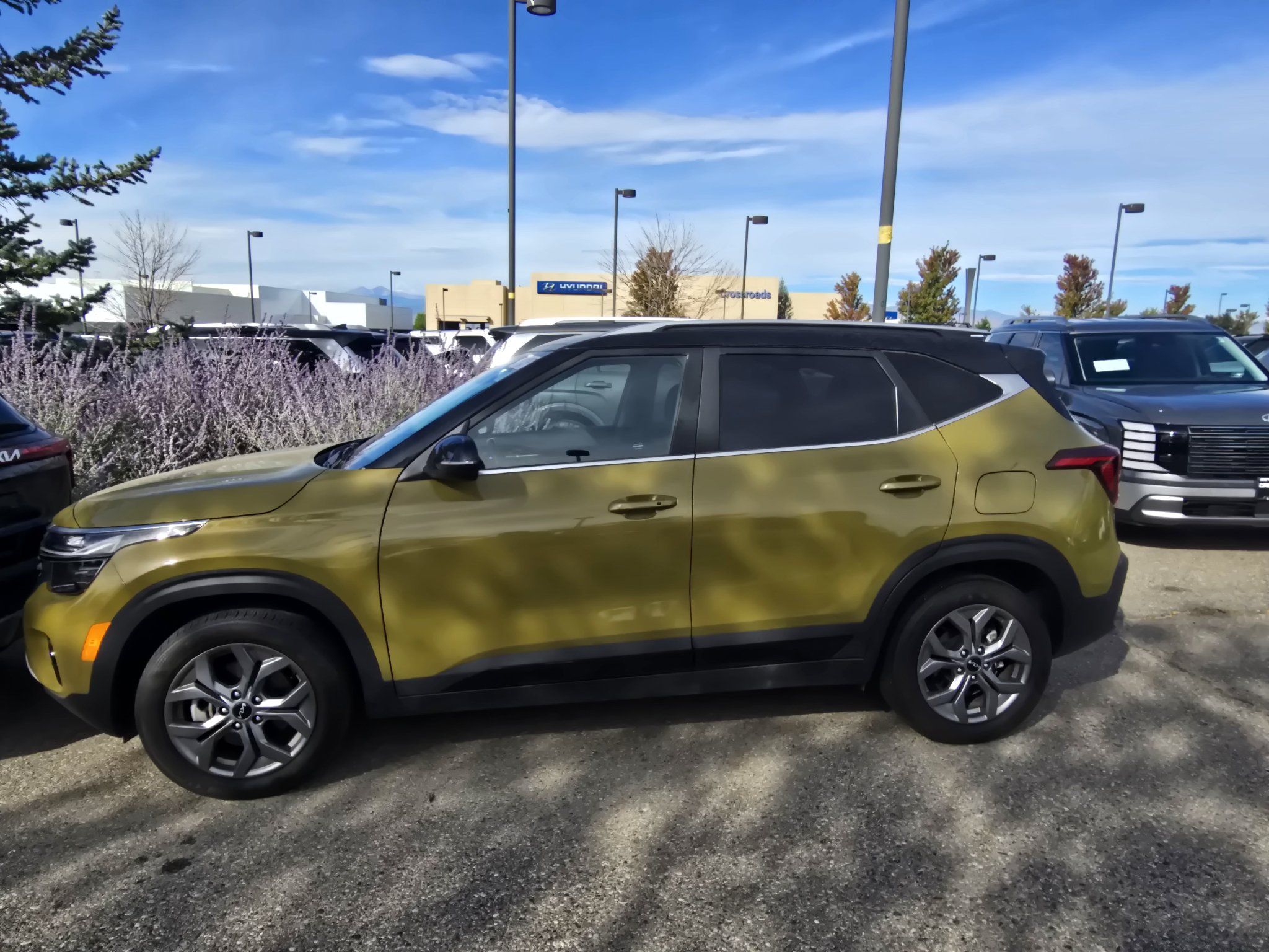 Used 2024 Kia Seltos S AWD/4WD image 2