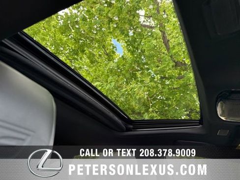 Used 2024 Lexus NX 350 F Sport AWD/4WD image 14
