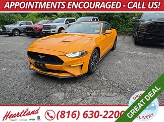 Used 2018 Ford Mustang Premium w/ Equipment Group 201A RWD video 1