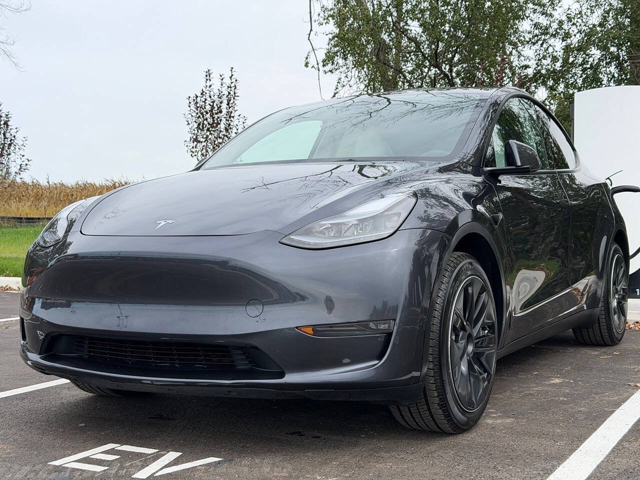Used 2024 Tesla Model Y Long Range AWD/4WD image 1
