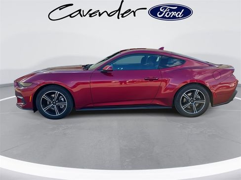 New 2025 Ford Mustang Coupe image 8
