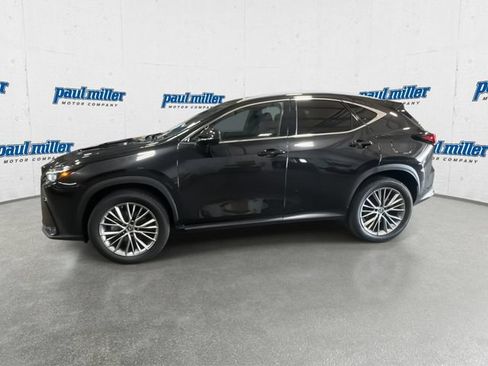 Used 2023 Lexus NX 350h AWD image 6