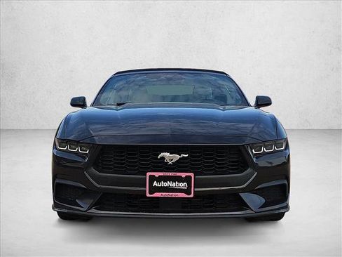 Used 2024 Ford Mustang Premium RWD image 2