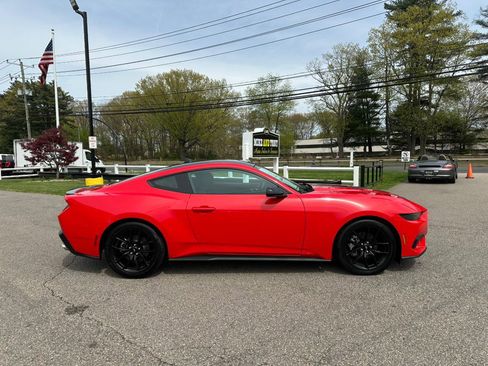 Used 2025 Ford Mustang Coupe w/ Mustang Nite Pony Package RWD image 5