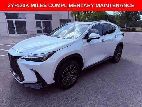 Used 2024 Lexus NX 350h AWD w/ Cold Area Package image 3