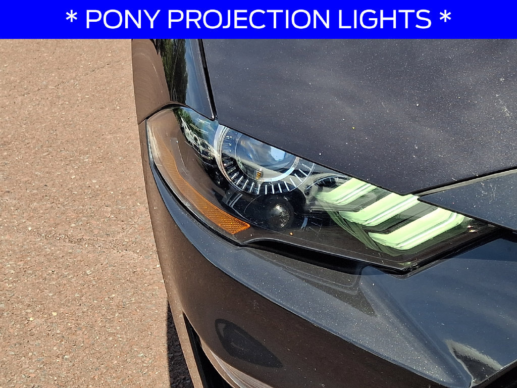 Certified 2022 Ford Mustang Premium w/ Equipment Group 201A RWD image 9