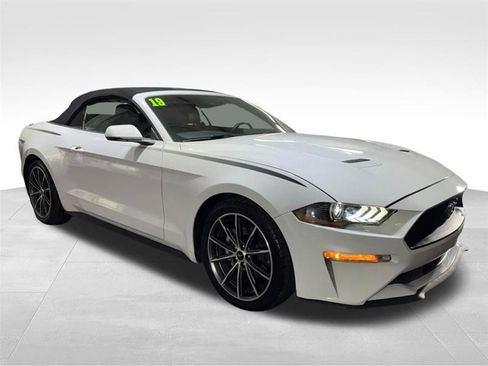 Used 2019 Ford Mustang Premium w/ Equipment Group 201A image 3
