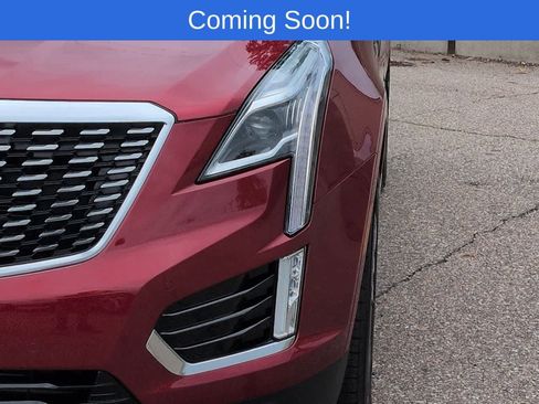 Used 2025 Cadillac XT5 Premium Luxury AWD/4WD image 10