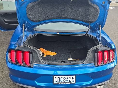 Used 2019 Ford Mustang Premium w/ Equipment Group 201A image 6