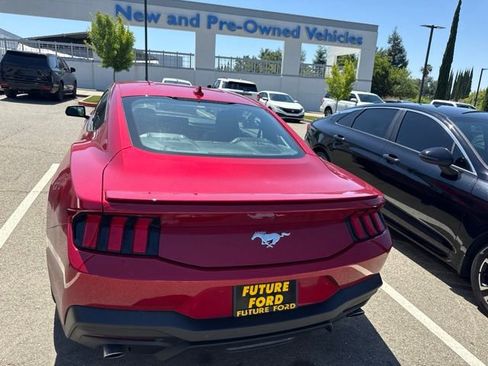 Used 2024 Ford Mustang Premium RWD image 1